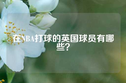 在NBA打球的英国球员有哪些？-第1张图片-皇冠信用盘出租