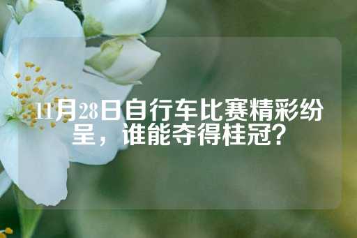 11月28日自行车比赛精彩纷呈，谁能夺得桂冠？