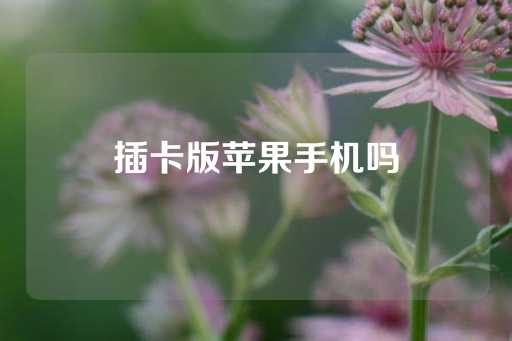 插卡版苹果手机吗