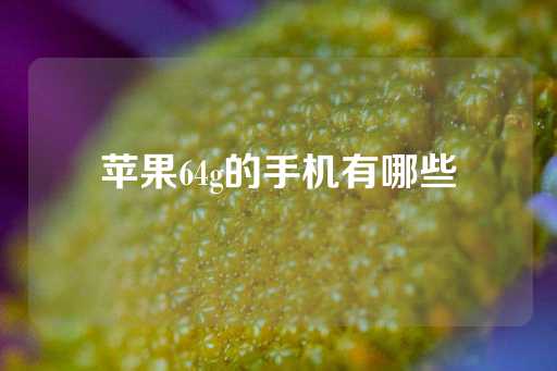 苹果64g的手机有哪些-第1张图片-皇冠信用盘出租