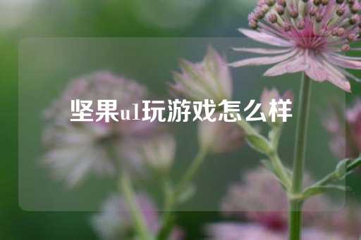 坚果u1玩游戏怎么样