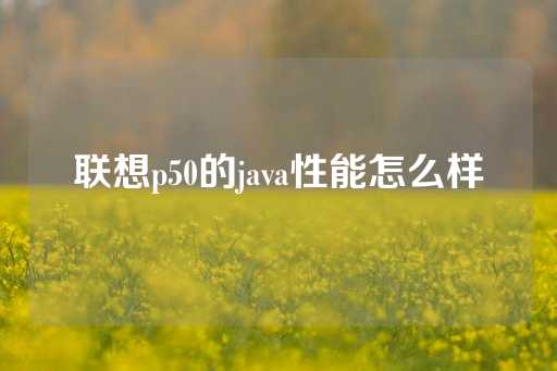 联想p50的java性能怎么样