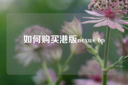 如何购买港版nexus 6p