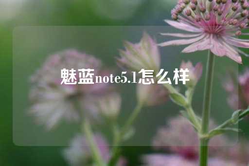 魅蓝note5.1怎么样